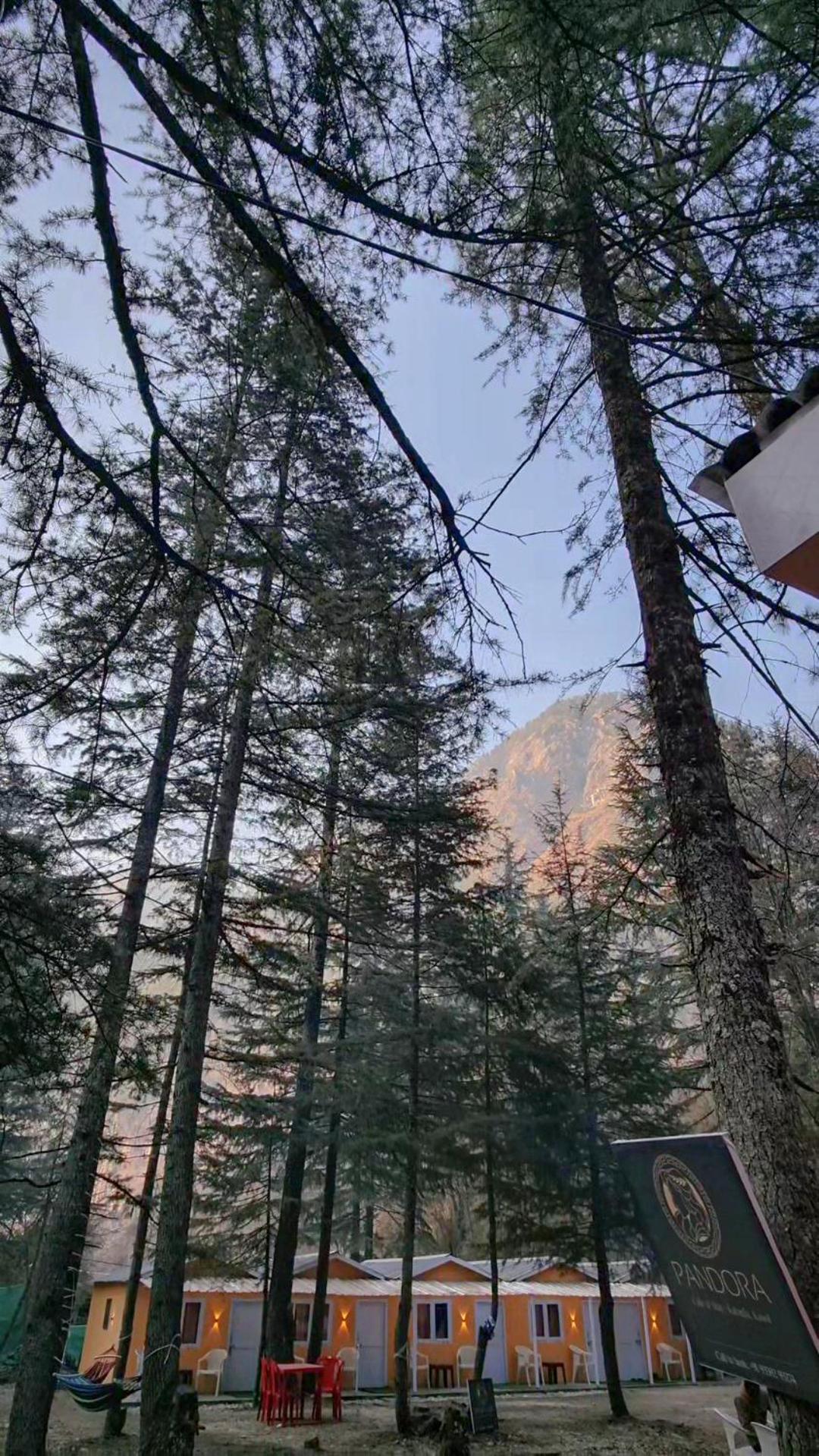 Pandora Riverside Cafe & Stay Kasol Exterior foto
